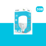 BLAZ LED Bulb 30W