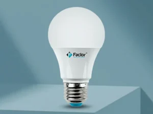 Factor DC LED Bulb